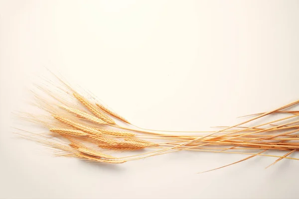 Шипы пшеницы изолированы на белом фоне — стоковое фото