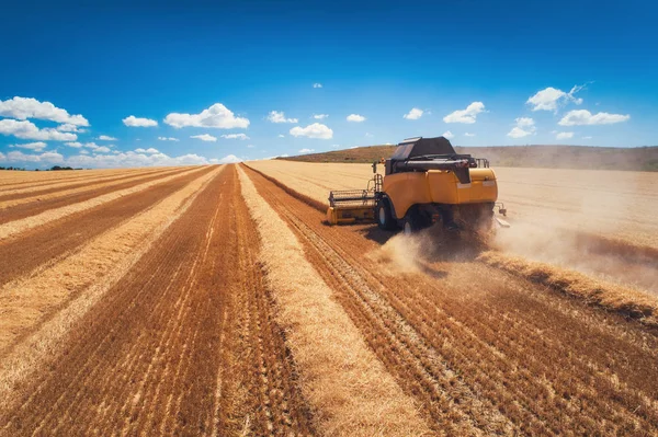 Mähdrescher landwirtschaftliche Maschine erntet goldenen reifen Weizen Feld — Stockfoto