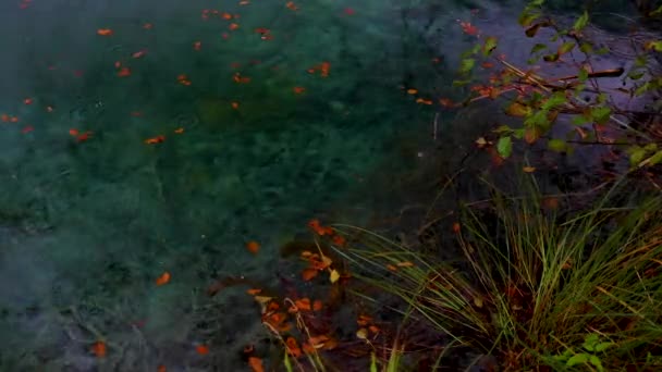 Água Limpa Lagos Floresta Outono Parque Nacional Plitvice Croácia — Vídeo de Stock