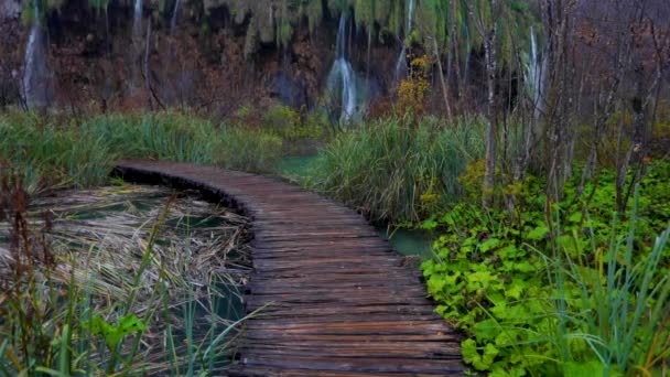 美丽的瀑布 湖泊和秋天的森林在普利特维采斯国家公园 克罗地亚 — 图库视频影像
