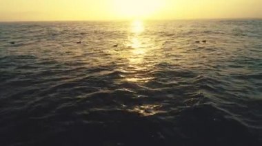 Okyanus dalgaları ve dalgalı su üzerinde güzel gündoğumu