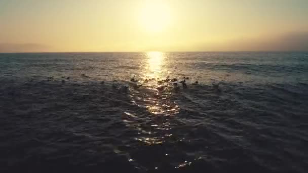 海浪和美丽的日出在波纹水面上 — 图库视频影像