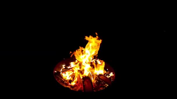 Brûlant Des Flammes Feu Barbecue Sur Fond Noir — Video