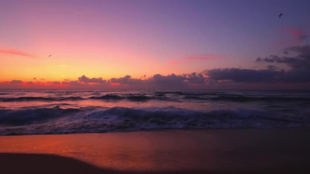 热带海滩和美丽的大海日出 戏剧性的云彩和舞动的波浪 — 图库视频影像