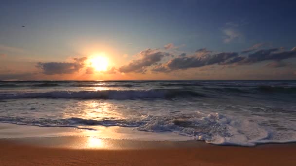 Nascer Sol Praia Oceano Pôr Sol Mar — Vídeo de Stock