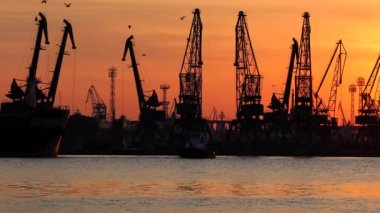 Gün batımında Varna deniz limanı, kuş siluetleri, endüstriyel vinçler ve kargo gemileri, Bulgaristan.