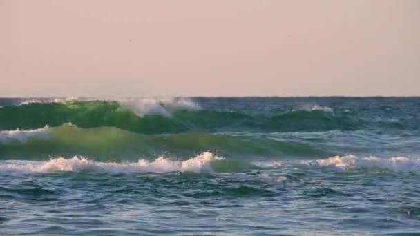 Onde Oceaniche Alba Spiaggia Tropicale Dell Isola — Video Stock