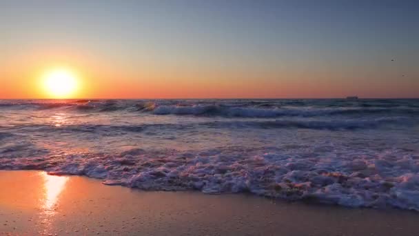 熱帯のエキゾチックな島のビーチとカリブ海の上の日の出 海の波が砂を洗う — ストック動画