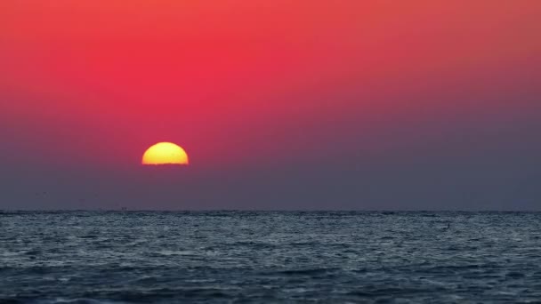 Sol Sobre Horizonte Dramático Amanecer Sobre Las Olas Del Mar — Vídeo de stock