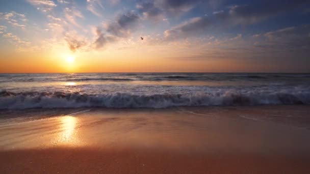 Golden Sea Sunrise Ondas Lavagem Praia — Vídeo de Stock