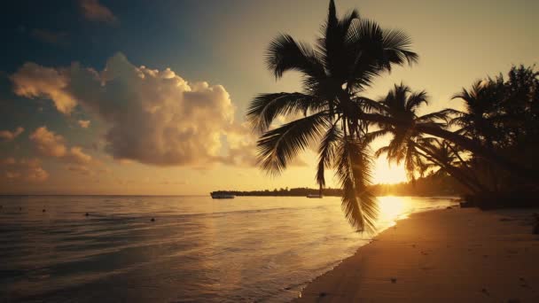 Nascer Sol Sobre Praia Tropical Ilha Exótica Mar Caribe Ondas — Vídeo de Stock