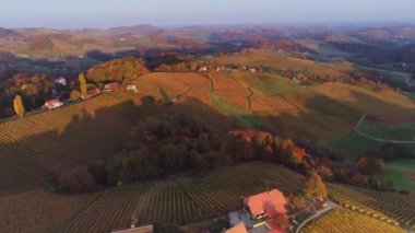 İtalya, Toskana 'nın göbeğinde sonbahar bağları ve tarlaları olan manzara.