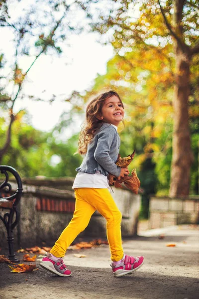 Güzel küçük kız sonbahar parkında yapraklarla oynuyor. — Stok fotoğraf