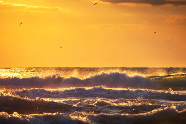 Zonsopkomst Zeegolf en vliegende vogels over het water — Stockfoto