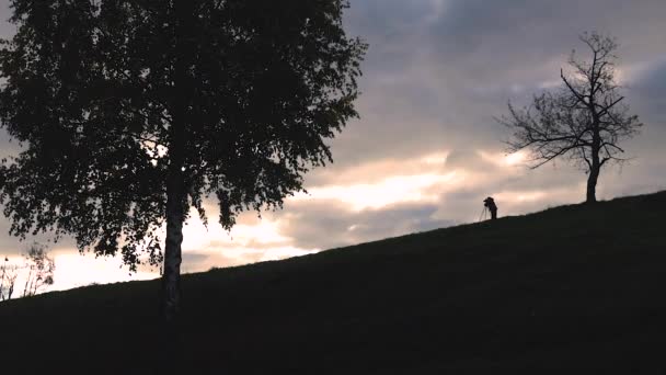 Fotógrafo Tirando Fotos Árvore Solitária Campo Pôr Sol Bela Paisagem — Vídeo de Stock