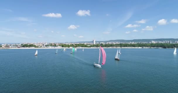 Sailing Yachts Sailboats Regatta Competition Summer Sport Aerial View — Stock Video