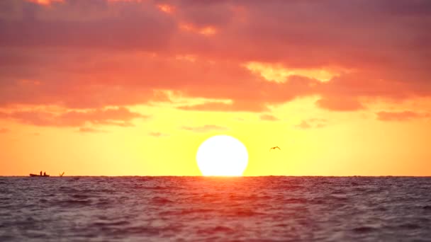 Sonnenaufgang Über Dem Meer Einsames Fischerboot Und Fliegende Möwe — Stockvideo