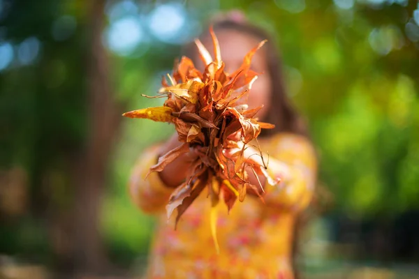 Parque de outono e menina feliz brincando com licença árvore caída — Fotografia de Stock