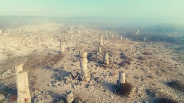 Sunrise Fog Stone Forest Formation Called Pobiti Kamani Landmark Varna — Stock Video