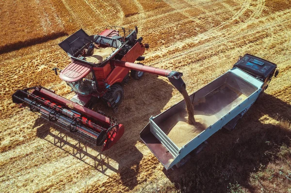 コムギ畑を収穫する収穫機を組み合わせる — ストック写真