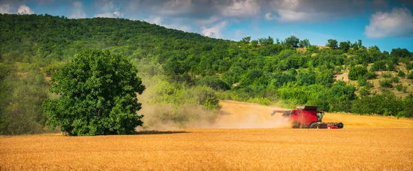 Combineer Oogstmachine Landbouwmachine Oogsten Gouden Rijpe Veld — Stockfoto