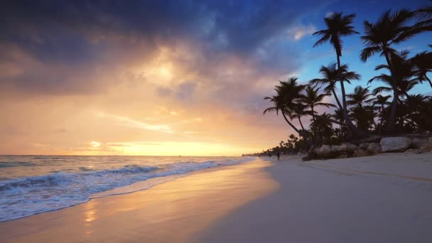 Salida Del Sol Sobre Playa Isla Tropical Palmeras Punta Cana — Vídeo de stock
