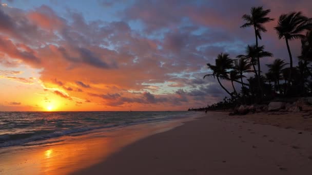 美丽的云彩笼罩在海浪之上 日出和热带海滩 — 图库视频影像