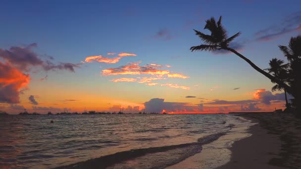 太阳升起在热带岛屿海滩和棕榈树上 多米尼加共和国Punta Cana — 图库视频影像