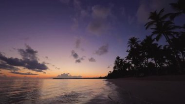 Tropikal ada plajı ve palmiye ağaçları üzerinde gün doğumu