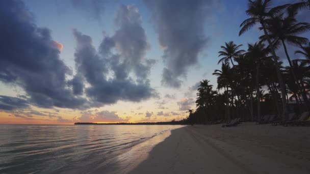 太阳升起在热带岛屿海滩和棕榈树上 多米尼加共和国Punta Cana — 图库视频影像