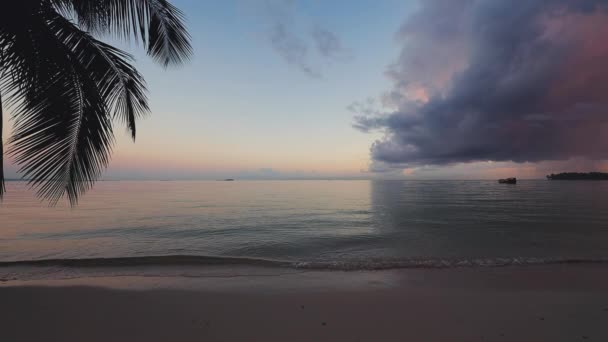 Lever de soleil sur une île tropicale plage et palmier