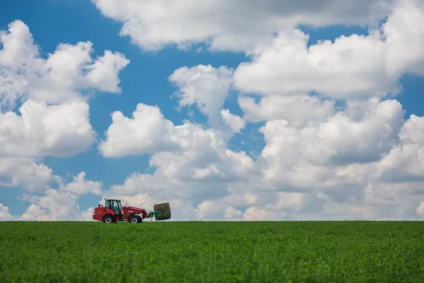 Röd Traktor Som Transporterar Halmbalar Ett Fält — Stockfoto