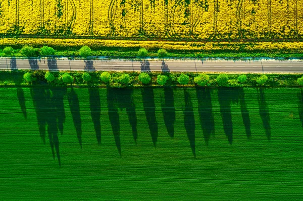 Pemandangan Udara Atas Bidang Pertanian — Stok Foto