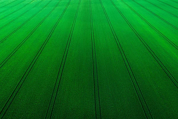 Luftaufnahme Über Dem Landwirtschaftlichen Feld — Stockfoto