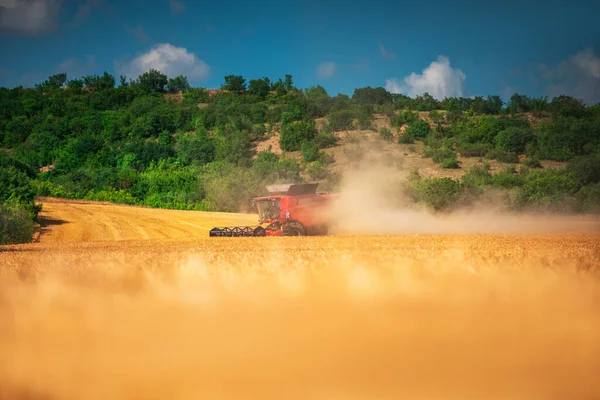 Mähdrescher Landmaschinen Ernten Goldenes Weizenfeld — Stockfoto