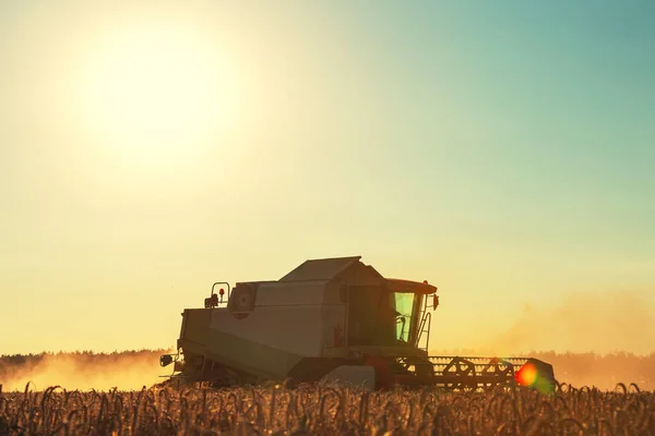 Combine Harvester Agriculture Machine Harvesting Golden Ripe Wheat Field — Stock Photo, Image