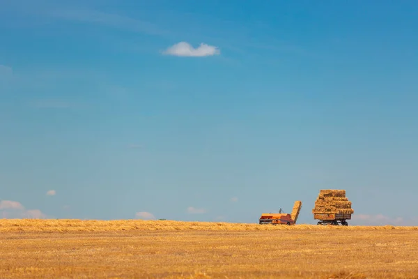 Harvest Field Hay Bales — Stock Photo, Image