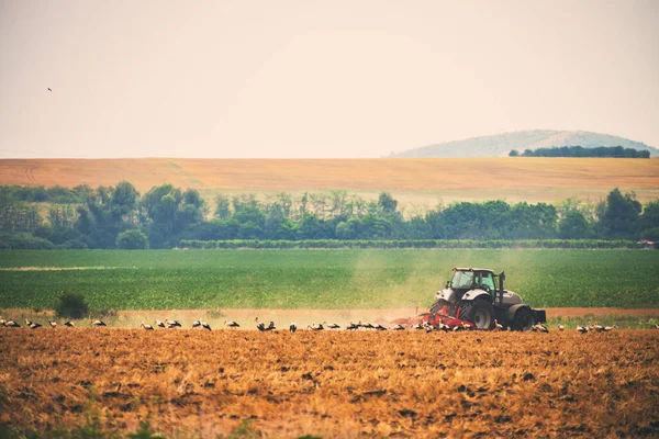 Тракторные Кормовые Аисты Поле Сельском Хозяйстве — стоковое фото