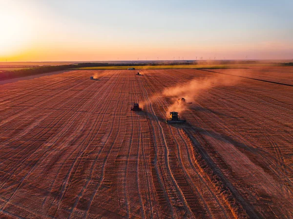 Комбайн Збирання Сільськогосподарської Техніки Золоте Стигле Пшеничне Поле Аерофотозйомка — стокове фото
