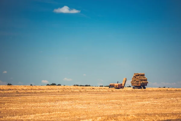 Oogst Hooibalen — Stockfoto