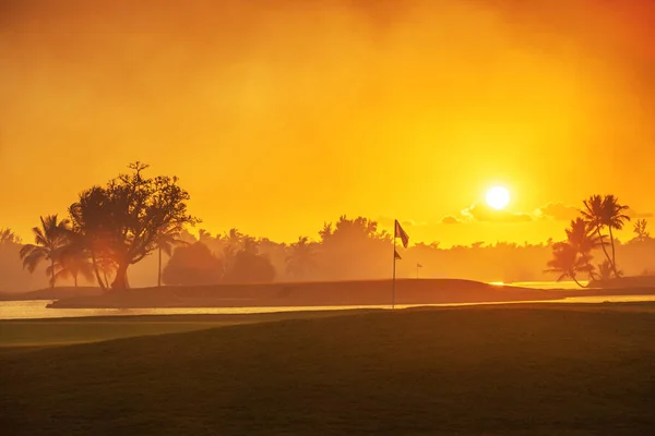 Campo Golf Nell Isola Tropicale — Foto Stock