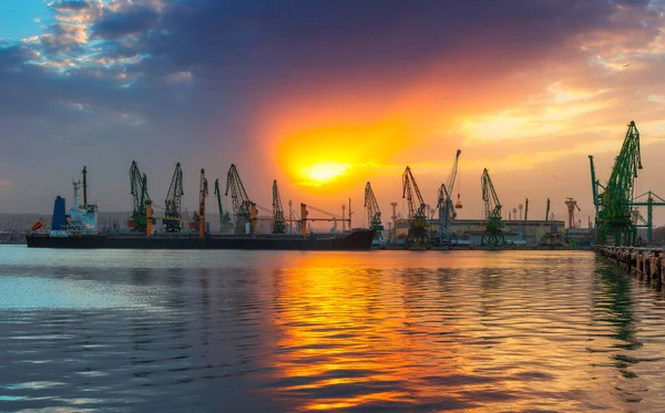 Sea Port Industrial Cranes Varna Bulgaria Sunset Panoramic View Varna — Stock Photo, Image