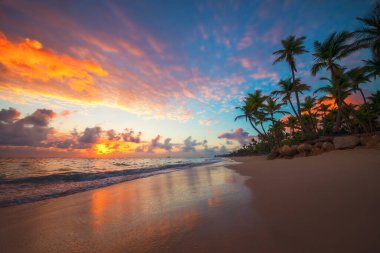Cennet manzarası tropik ada plajı, gün doğumu görüntüsü