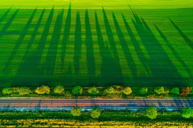 Tarım alanı üzerinde hava manzarası