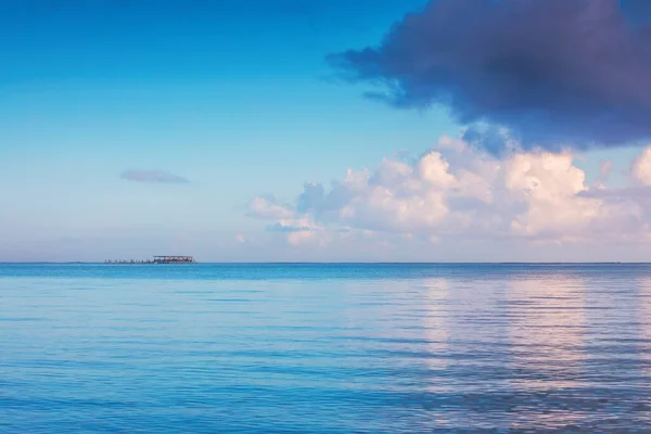 Meer Sonnenaufgang Und Delphine Insel Park Pool Wasser — Stockfoto