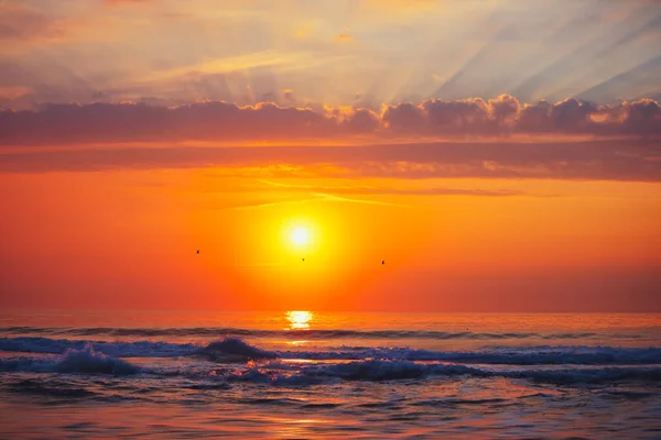 Beach Sunrise Tropical Sea — Stock Photo, Image