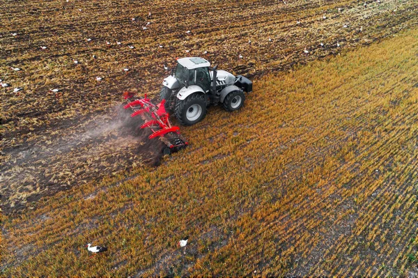 Traktor Napájecí Čápy Poli Zemědělská Krajina Letecký Pohled — Stock fotografie