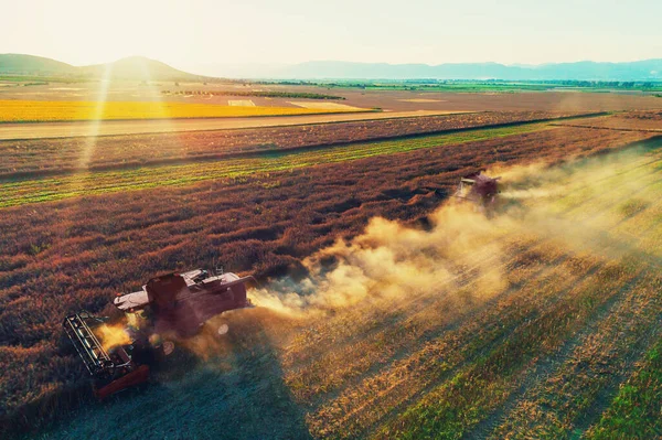 Combine Harvester Agriculture Machine Harvesting Golden Ripe Wheat Fiel — Stock Photo, Image