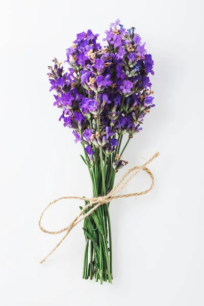 Lavender Flower Beautiful Organic Bouquet Isolated White Background — Stock Photo, Image