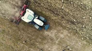 Bir tarlada traktör ve beslenen leylekler, tarımın havadan görünüşü